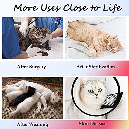Костум За Опоравување на Операција на мачки за Абдоминални Рани Или Кожни Болести, Професионален Костум За Хируршко Закрепнување