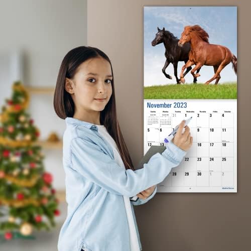 Micasa World of Horses 2023 Месечен календар за wallидови на Хангев | 12 x 24 отворено | Дебела и цврста хартија | Подарок | Животни