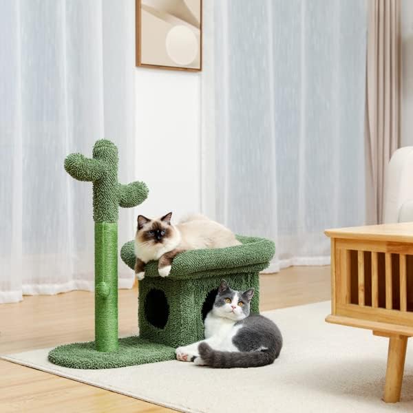 Boerlky 2 во 1 кактус мачка дрво мачка кула со сисал покриена гребење по пријатна кадифен кадифен перч што виси топка за мачки во затворен простор