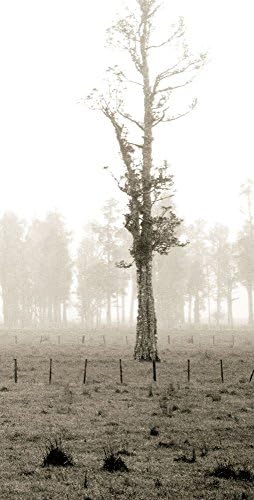 Фотографија: Пејзаж 167, 36х18во.