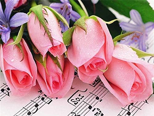 QGHZSCS боја по броеви дигитални сликарски цвеќиња розови цвеќиња хоби и занаети A6