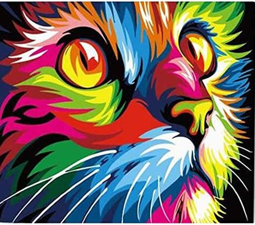 Сликајте по броеви за возрасни акрилна мачка лесно сликарство со животински со броеви за почетник