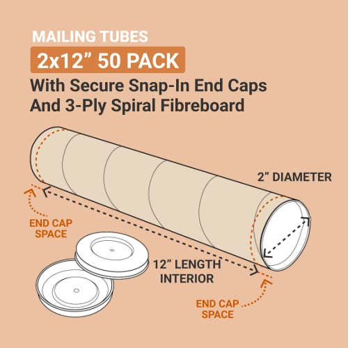 AVIDITI Мејлинг Цевки Со Капи, 2 инчен x 12 L, 50-Пакет | Картонска Цевка Пошта За Постер Кутија, План, Наставници, Уметнички Дела, Долг Уметнички Носител, 2x12 Крафт, P2012K