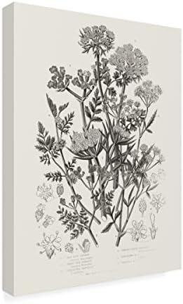 Трговска марка ликовна уметност 'цветни растенија IV неутрална' платно уметност од портфолио на диви јаболка 18x24