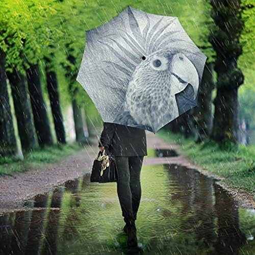 Неверојатни Чадори За Печатење Папагал Поицефалус