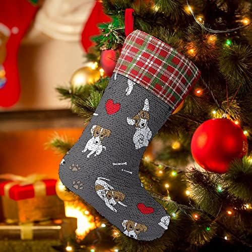 Jackек Расел кучиња коски се продолжеат Божиќни празнични чорапи за време