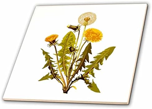 3дроза Гроздобер Цветни Жолти Цвеќиња Од Глуварче Илустрација На Ботаничка Уметност-Плочки