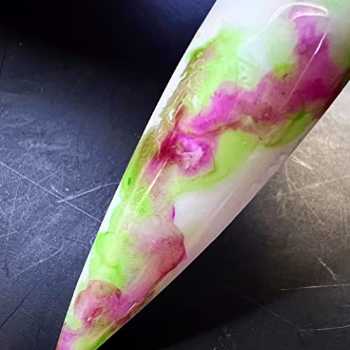 Шемодерн акварел желе во водни менито за префрлување на искра 12 бои постави воздух суво колекција за креативно боење на уметноста на ноктите. Брзо и лесно влажно бо