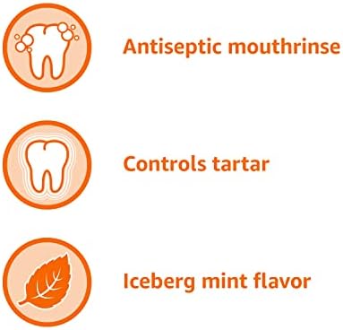 Основи на Амазон Основи Контрола Плус Антисептичка уста за плакнење, Сина нане од ледениот брег, 1 литар, 33,8 течности унци, 1-пакет