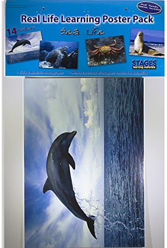 Фази Учење Морски Животни Постери, Разнобојни