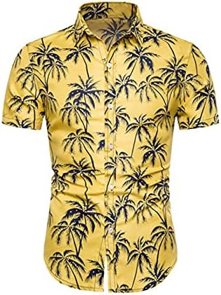 Облека за плажа за мажи 2021 Добри облеки за момци Обични машка облека што одговара на поставени машки 2 парчиња облека за облека за облека од 2 парчиња облека