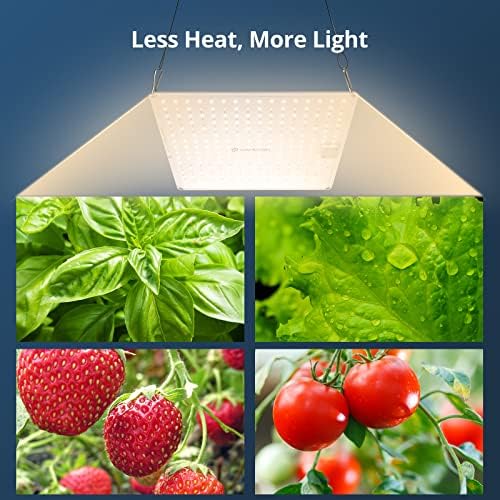 Justsmart LED со целосен спектар LED растат светлина, светла за растење на растенија од 1000W 2 x2 за затворени растенија хидропонични