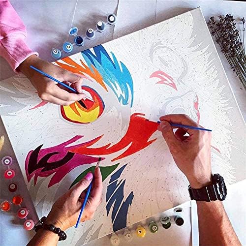 Сликарство по броеви за возрасни DIY масло за сликање на масло за деца и почетници за сликање уметност занает за домашен wallиден декор