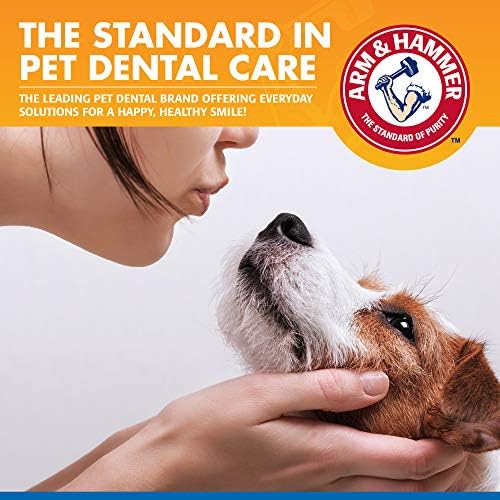 Рака и чекан за миленичиња Додаток на заби на вода за кучиња, контрола на забен камен | Стоматолошката нега на кучиња го намалува изградбата на плакетата и забен кам