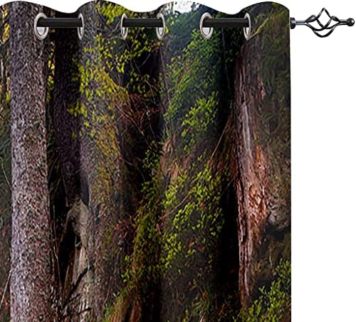 Yuiupd завеси за затемнување 2 панели 72 инчи долги 3Д повеќебојни шуми дрвени мост водопади шема за печатење деца деца девојчиња дневна соба спална соба завеси со гром?