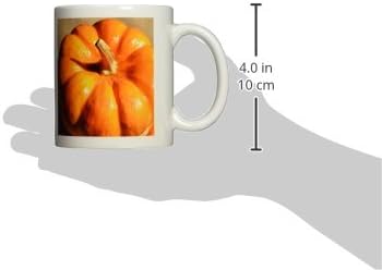 3drose есенски портокалова тиква зеленчук Денот на благодарноста Керамичка кригла, 11-унца