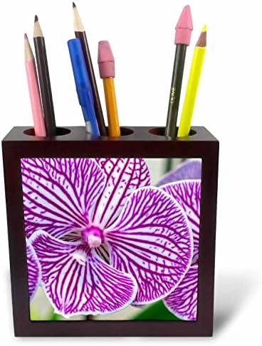 3дроза Данита Делимонт-Цвет-Виолетова И Бела Молец Орхидеја-Плочка Пенкало Носителите