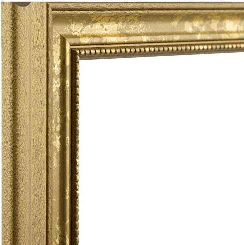 Craig Frames 314GD2030DAC 0,75-инчи широка слика/постер рамка во украсен финиш, 20 на 30-инчи, украсно злато