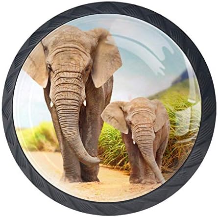 Идеалиј Африкански Грмушки Слонови Врата Фиока Повлечете Рачка Мебел Декорација За Кујна Кабинет Облекување Маса