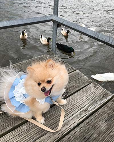 Кучен фустан сино тексас здолниште мало кутре девојче фустани облека за кучиња