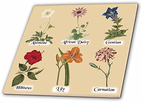3дроза Гроздобер Ботанички Цвеќиња-Антички Цветни-Убава Цветна Уметност-Плочки