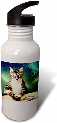 3drose Cassie Peter AI генерирана уметност - мачка во вселената - шишиња со вода