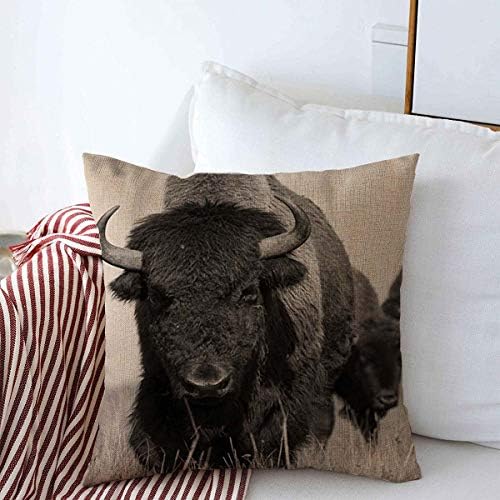 Staroutah фрли перници покријте 18 x 18 инчи глава американски бизон бизон бивол сепски животни диви животни црна природа бик пристап
