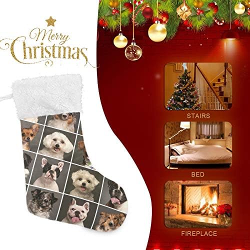 Божиќни чорапи на Алаза Сите видови кучиња класични персонализирани големи декорации за порибување за семејни празнични сезони за