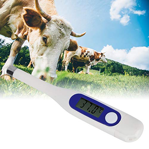 Животински термометар ветеринарен електронски термометар LCD дигитален за говеда овци коњи свињи кучиња користат