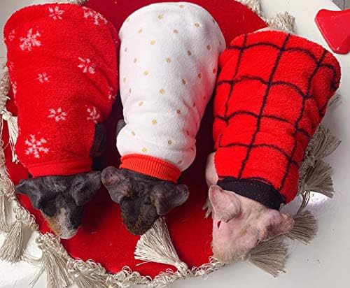 3 спакувани мали животински џемпер за џемпер без влакна Гвинеја свињи кошула есен зимско топло носење кожа заштита облека облека за заморчиња