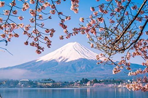 Ламинирана Планина Фуџи И Цветови Од Цреши Фотографија Фотографија Постер Суво Бришење Знак 16х24
