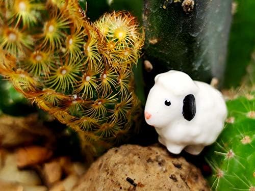 SSJShop Бебе овци микро ситни куклихарни фигурини керамички рачни насликани животни колекционерски мали подароци дома градинарски декор
