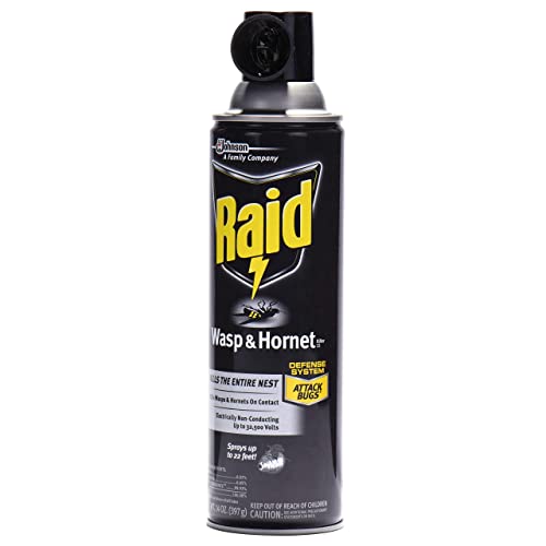 Raid Wasp Hornet Killer Spray 14 унца