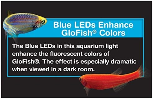 Глофиш Универзална LED Светлина, За Аквариуми до 15 Литри, Со Сини Led Диоди За Подобрување на Бојата, 9 x 7 x 3