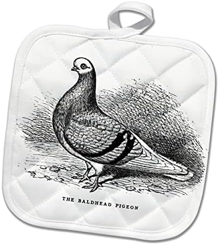 3DROSE гроздобер гулаб илустрација за уметност ќелава глава фенси раса за птица. - Potholders