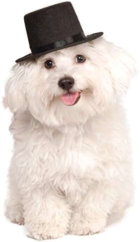 Врвната капа на Руби за вашето домашно милениче, мало/средно