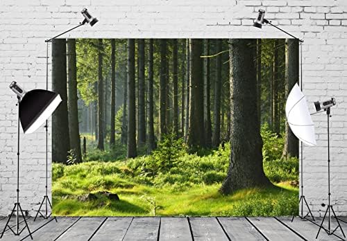 Корфото 9x6ft ткаенина Сончева смрека шума позадина зелена смрека дрвја ливада шума позадина за деца возрасни портрет летен одмор пешачење