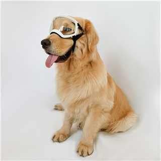 НАМСАН Очила За Кучиња Проѕирна Леќа За Средно Голема Раса Ув Заштита Очила За Сонце Против Магла Ветроупорна Проѕирна Леќа За