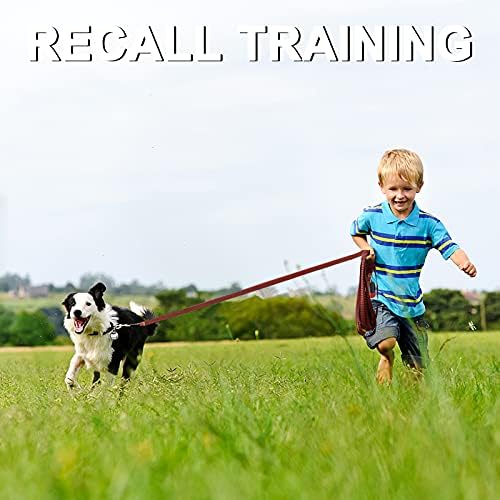 Demigreat Long Leash за обука на кучиња 20ft 30ft 50ft 100ft - Обука за потсетување на послушност за големи средни мали кучиња - одлично за обука за играње кампување во дворот, со отпад