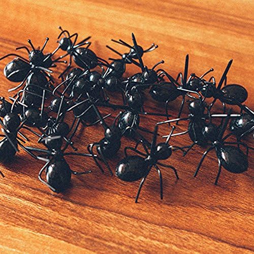 Nple-Работна мравка забава Изберете овошје избор на забава специјална декорација на животни