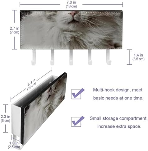 Организатор на рак на мачки на Мејн Коон со 5 куки wallидни кујнски полици за кујнски полици, мултифункционална полица за складирање
