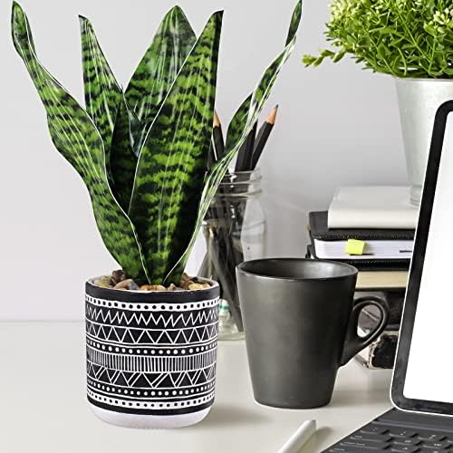 3 компјутери мали растенија со тенџере лажни растенија од еукалиптус и тропска змија растение во црни геометриски бетонски керамички