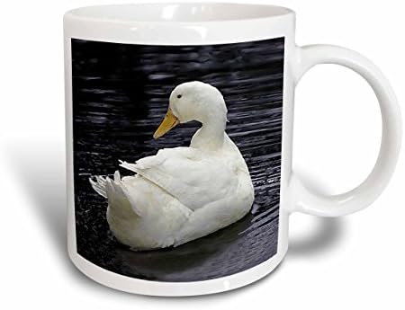 3drose mug_4232_1 Бела керамичка кригла Патка Патки, 11-унца